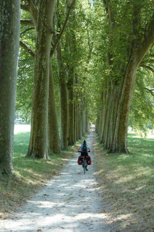 Allée sur l'ancien bassin de Naurouze asséché